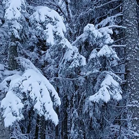 Pizzo Alpestre Διαμέρισμα *