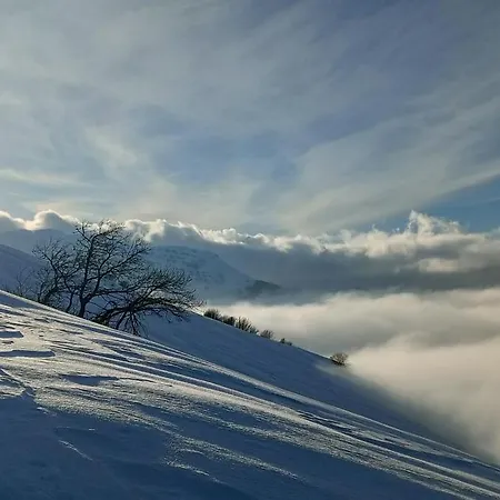 Pizzo Alpestre *